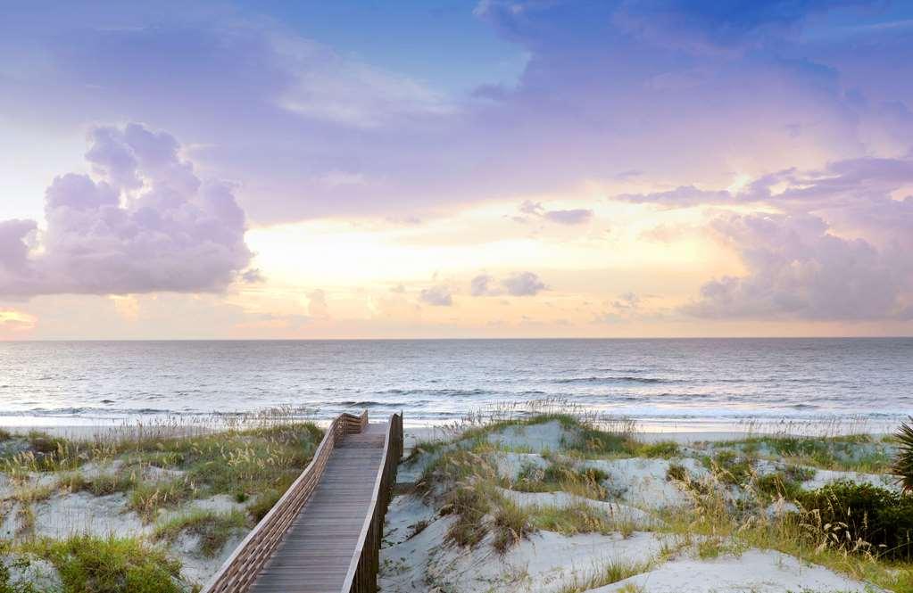 Jekyll Ocean Club Resort เกาะเจคิลล์ ธรรมชาติ รูปภาพ